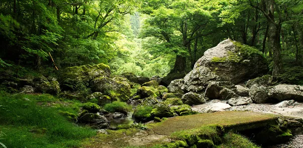 马尔康旅游全攻略：探索自然美景与文化精髓