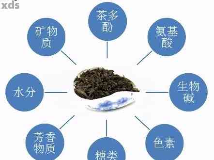 普洱茶生茶主要成分解析