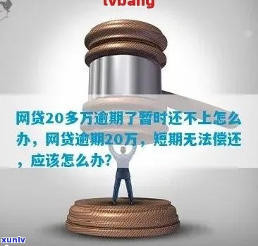 网贷二十几万无力偿还该怎么办