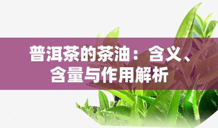 普洱茶的茶油：含义、含量与作用解析