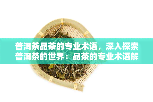 普洱茶品茶的专业术语，深入探索普洱茶的世界：品茶的专业术语解析