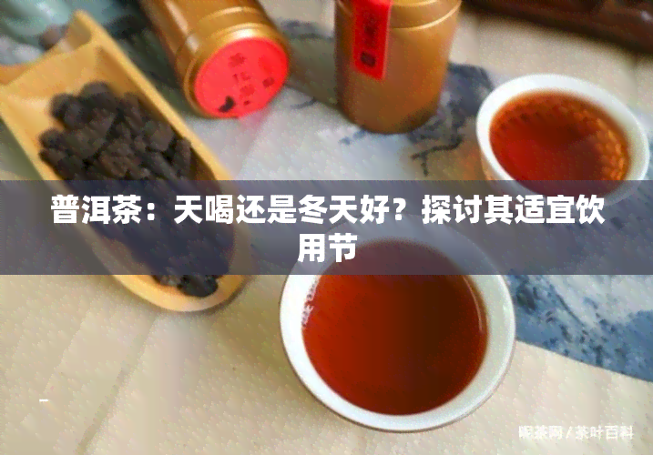 普洱茶：天喝还是冬天好？探讨其适宜饮用节