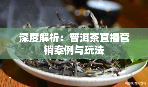 深度解析：普洱茶直播营销案例与玩法