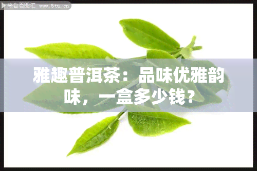 雅趣普洱茶：品味优雅韵味，一盒多少钱？