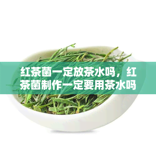 红茶菌一定放茶水吗，红茶菌制作一定要用茶水吗？