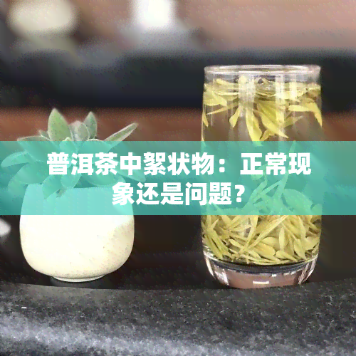 普洱茶中絮状物：正常现象还是问题？