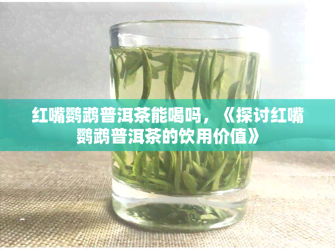 红嘴鹦鹉普洱茶能喝吗，《探讨红嘴鹦鹉普洱茶的饮用价值》