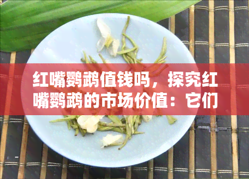 红嘴鹦鹉值钱吗，探究红嘴鹦鹉的市场价值：它们到底有多值钱？