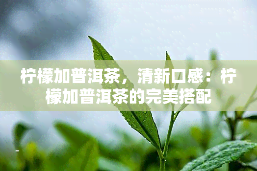 柠檬加普洱茶，清新口感：柠檬加普洱茶的完美搭配