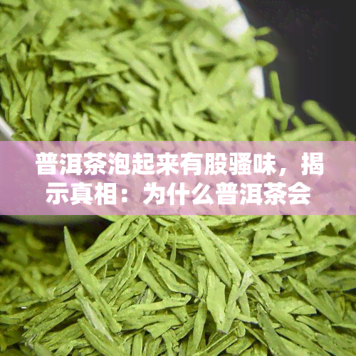 普洱茶泡起来有股骚味，揭示真相：为什么普洱茶会有“骚味”？