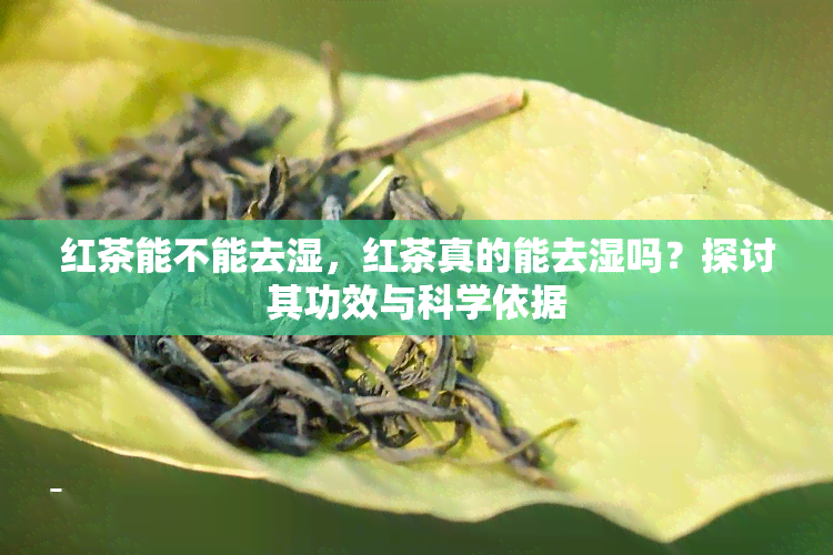 红茶能不能去湿，红茶真的能去湿吗？探讨其功效与科学依据