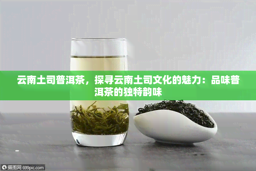 云南土司普洱茶，探寻云南土司文化的魅力：品味普洱茶的独特韵味