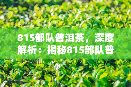 815部队普洱茶，深度解析：揭秘815部队普洱茶的神秘面纱