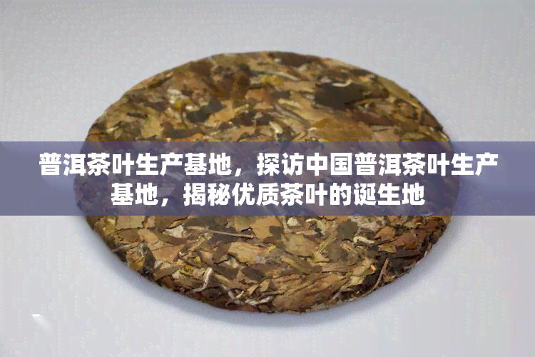 普洱茶叶生产基地，探访中国普洱茶叶生产基地，揭秘优质茶叶的诞生地