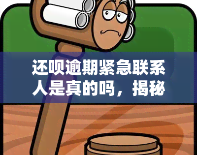 还呗逾期紧急联系人是真的吗，揭秘真相：还呗逾期紧急联系人是否真实存在？