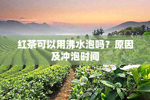 红茶可以用沸水泡吗？原因及冲泡时间