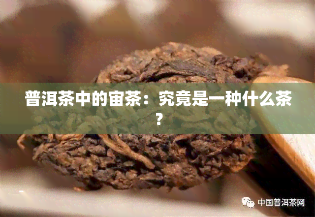 普洱茶中的宙茶：究竟是一种什么茶？