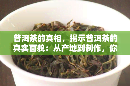 普洱茶的真相，揭示普洱茶的真实面貌：从产地到制作，你必须知道的一切