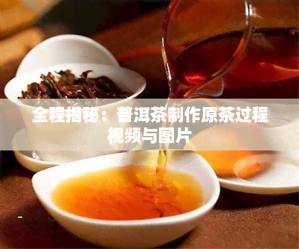 全程揭秘：普洱茶制作原茶过程视频与图片