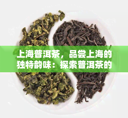 上海普洱茶，品尝上海的独特韵味：探索普洱茶的世界