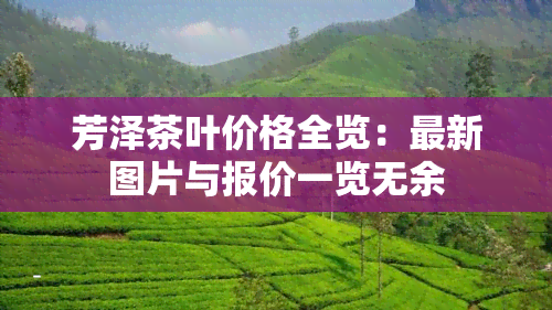 芳泽茶叶价格全览：最新图片与报价一览无余