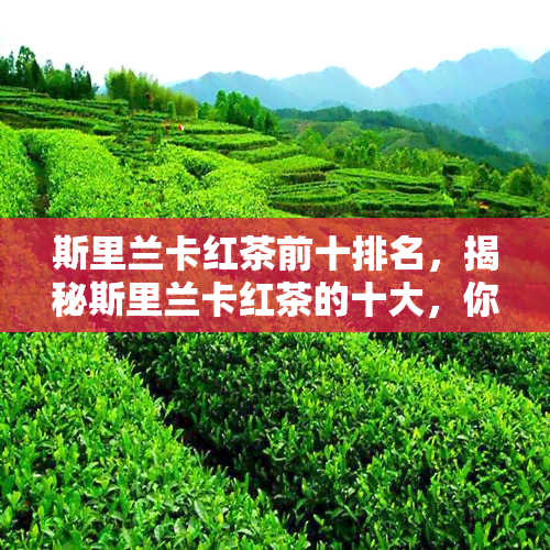 斯里兰卡红茶前十排名，揭秘斯里兰卡红茶的十大，你喝过几种？