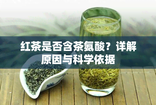 红茶是否含茶氨酸？详解原因与科学依据