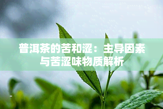 普洱茶的苦和涩：主导因素与苦涩味物质解析