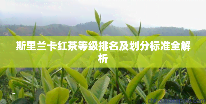 斯里兰卡红茶等级排名及划分标准全解析