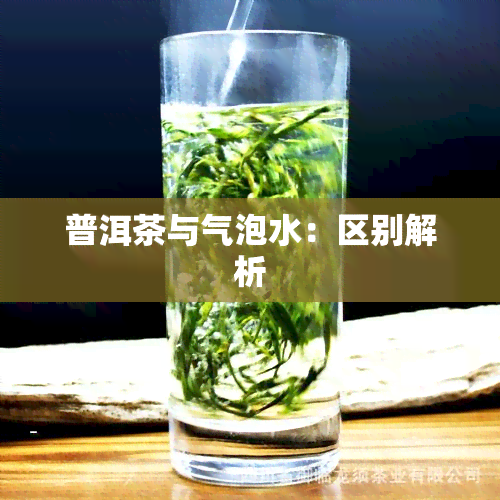 普洱茶与气泡水：区别解析