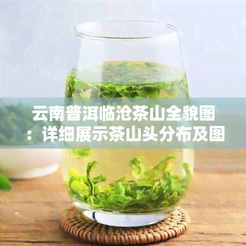 云南普洱临沧茶山全貌图：详细展示茶山头分布及图片