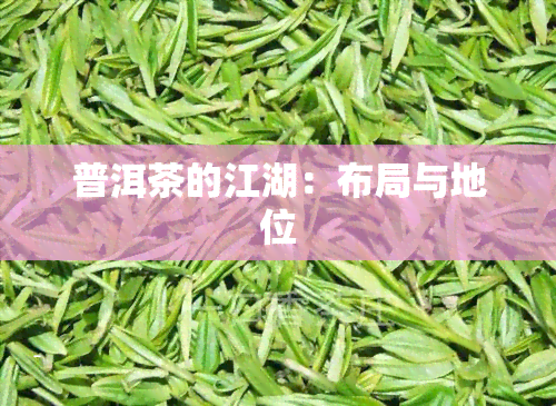 普洱茶的江湖：布局与地位