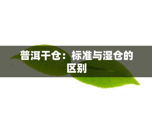 普洱干仓：标准与湿仓的区别