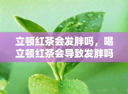 立顿红茶会发胖吗，喝立顿红茶会导致发胖吗？你需要知道的事实