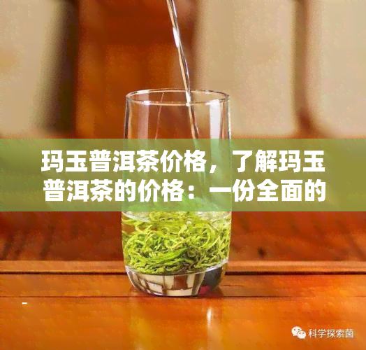 玛玉普洱茶价格，了解玛玉普洱茶的价格：一份全面的市场分析