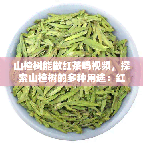 山楂树能做红茶吗视频，探索山楂树的多种用途：红茶制作方法视频分享