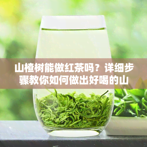 山楂树能做红茶吗？详细步骤教你如何做出好喝的山楂红茶！