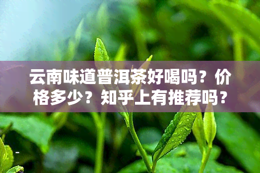 云南味道普洱茶好喝吗？价格多少？知乎上有推荐吗？