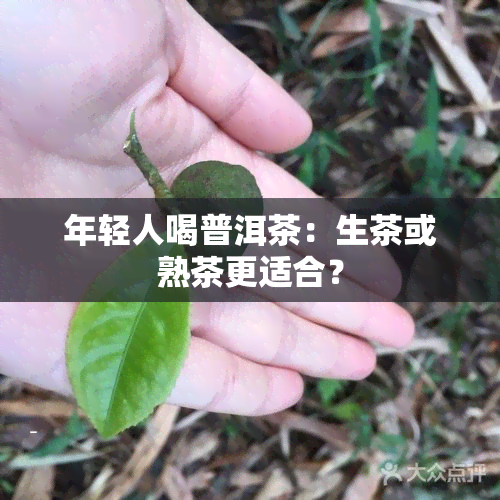 年轻人喝普洱茶：生茶或熟茶更适合？