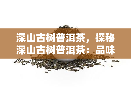 深山古树普洱茶，探秘深山古树普洱茶：品味大自然的馈赠