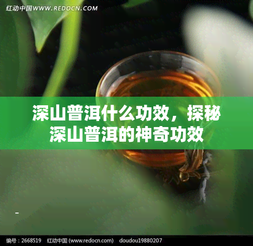 深山普洱什么功效，探秘深山普洱的神奇功效