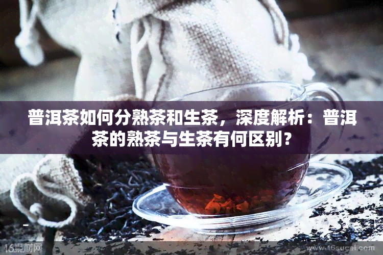 普洱茶如何分熟茶和生茶，深度解析：普洱茶的熟茶与生茶有何区别？