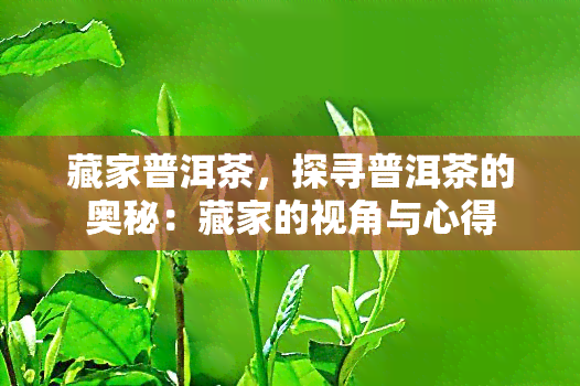 藏家普洱茶，探寻普洱茶的奥秘：藏家的视角与心得