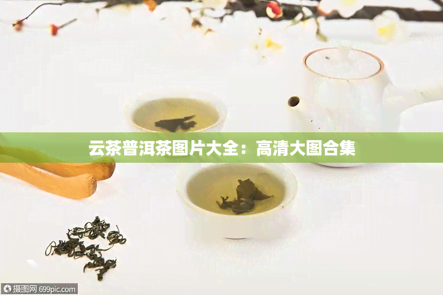 云茶普洱茶图片大全：高清大图合集