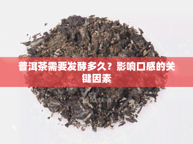 普洱茶需要发酵多久？影响口感的关键因素