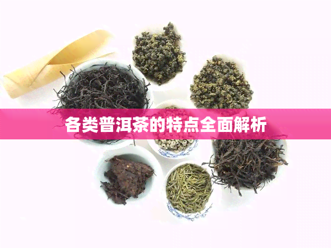 各类普洱茶的特点全面解析