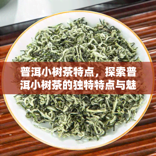 普洱小树茶特点，探索普洱小树茶的独特特点与魅力