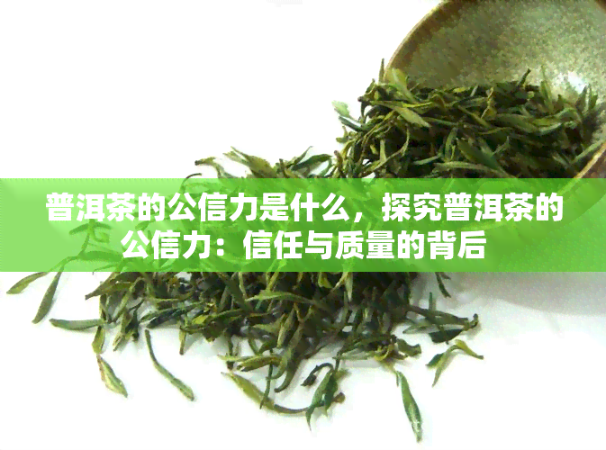 普洱茶的公信力是什么，探究普洱茶的公信力：信任与质量的背后