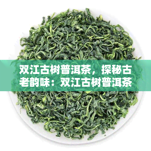 双江古树普洱茶，探秘古老韵味：双江古树普洱茶的魅力与历