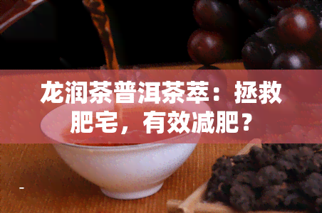 龙润茶普洱茶萃：拯救肥宅，有效减肥？